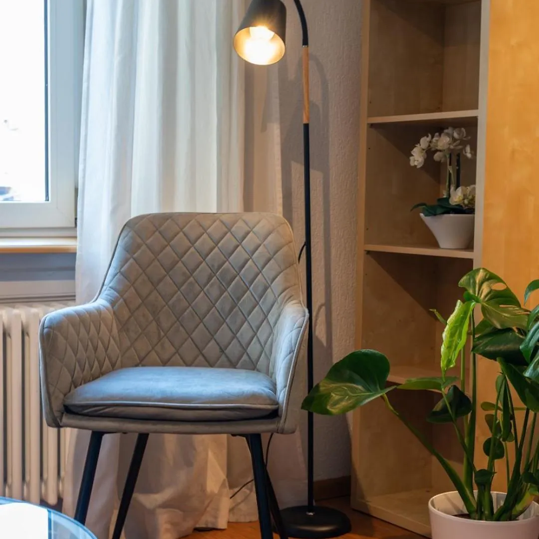 Special Roger F Rabbit 2 Apartment, Roche Towers, 10-Star Basel