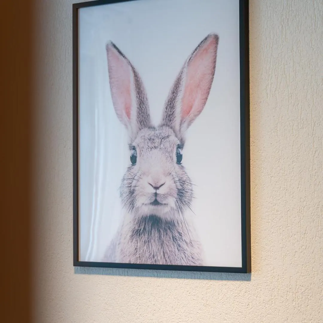 Special Roger F Rabbit 2 Apartment, Roche Towers, 10-Star Basilej Apartmán